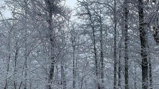 Neve sulle strade che portano al Monte Serra (Foto Gva Calci)