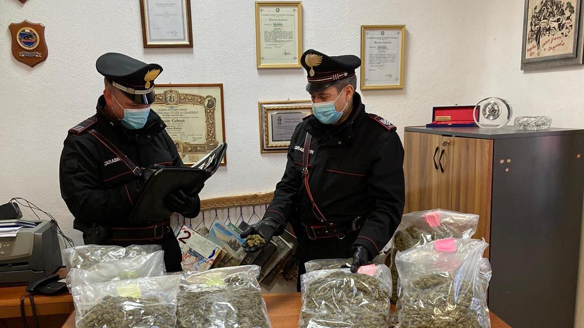 Padru, trasportava carasau ma in realtà era marjiuana: arrestato