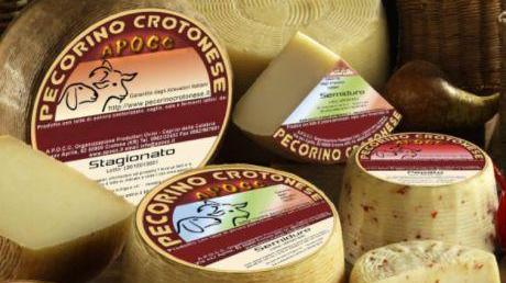 Falso pecorino crotonese prodotto a Thiesi: 2 imprenditori a giudizio