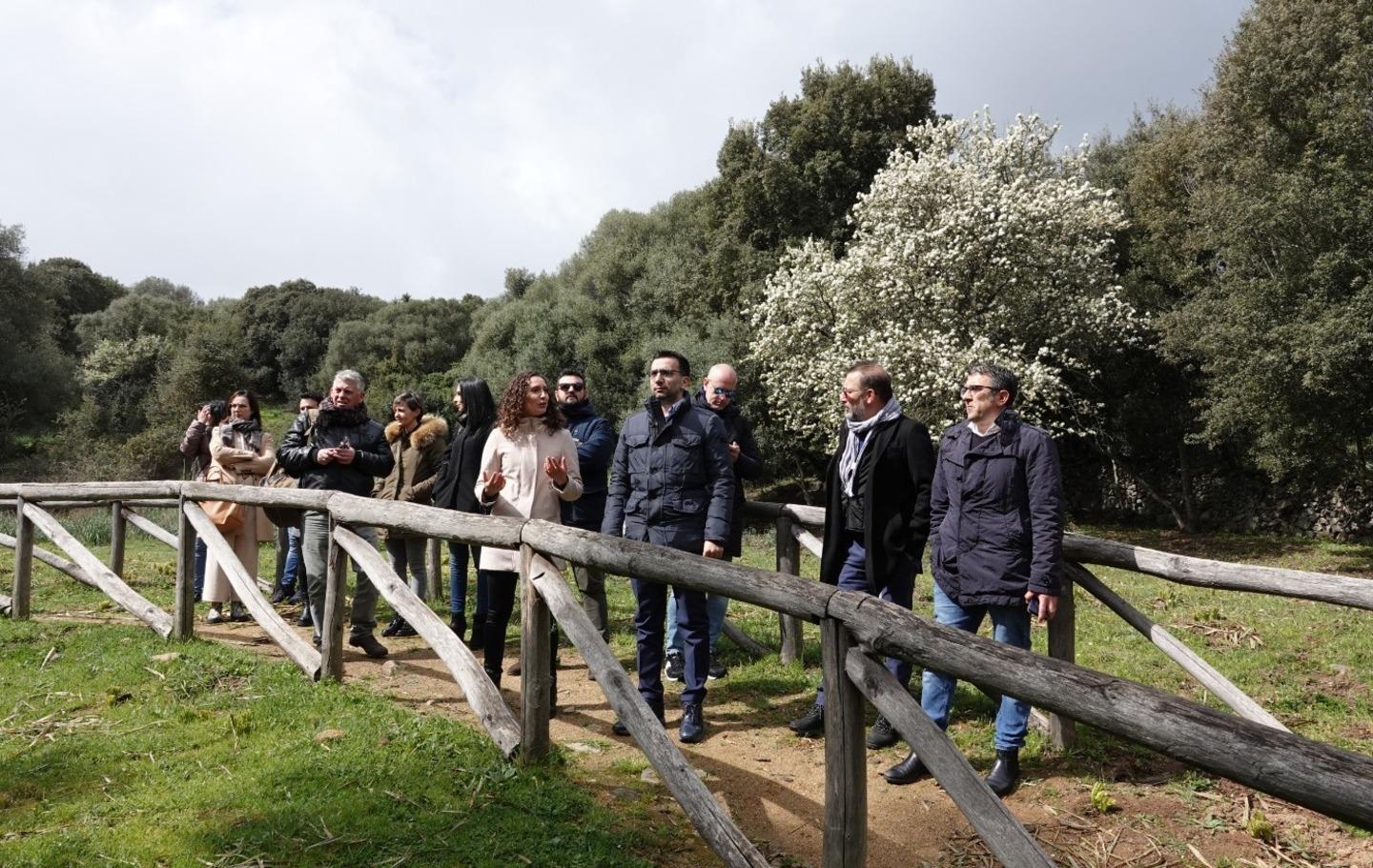 «Gli olivastri di Luras patrimonio dell’Unesco» 