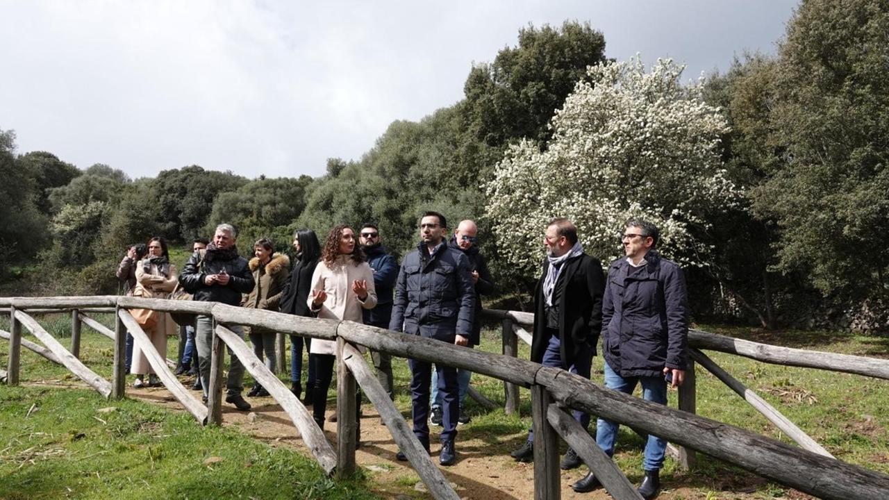 «Gli olivastri di Luras patrimonio dell’Unesco»