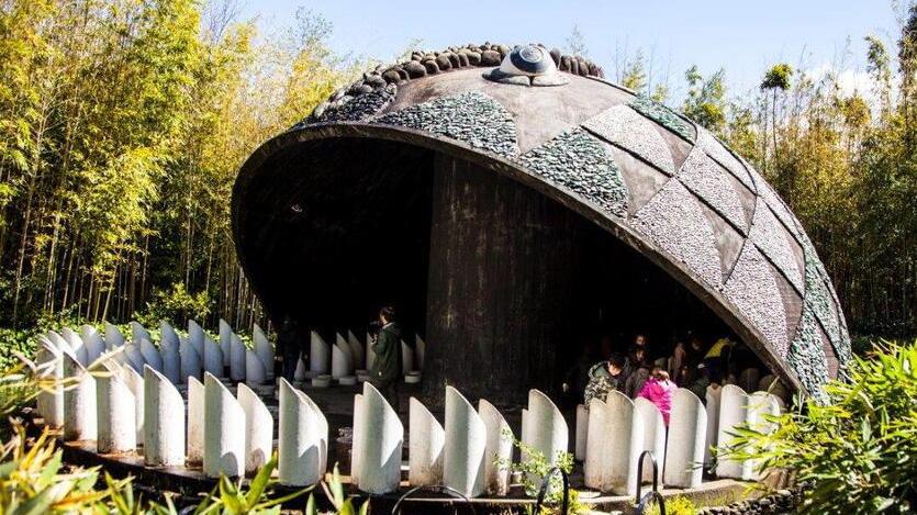 La mitica Balena del Parco di Pinocchio di Collodi