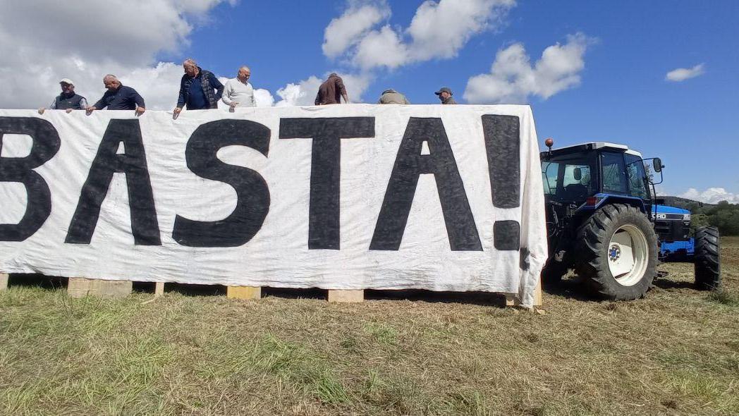 Agricoltori e allevatori stremati dalla crisi: «Il prezzo del latte va subito aumentato»