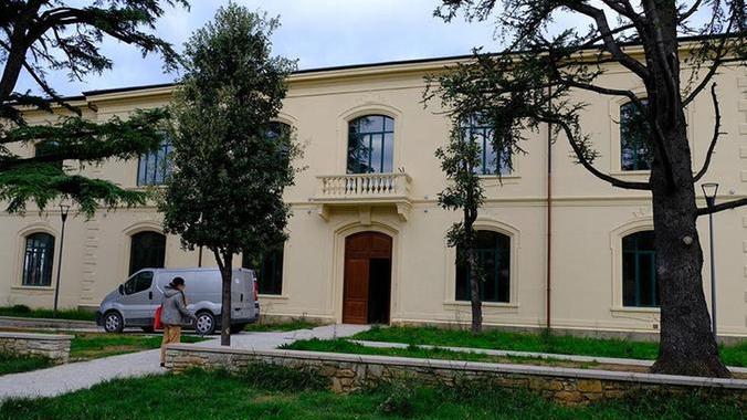 Ecco quanto dichiarano amministratori e consiglieri del Comune di Cecina