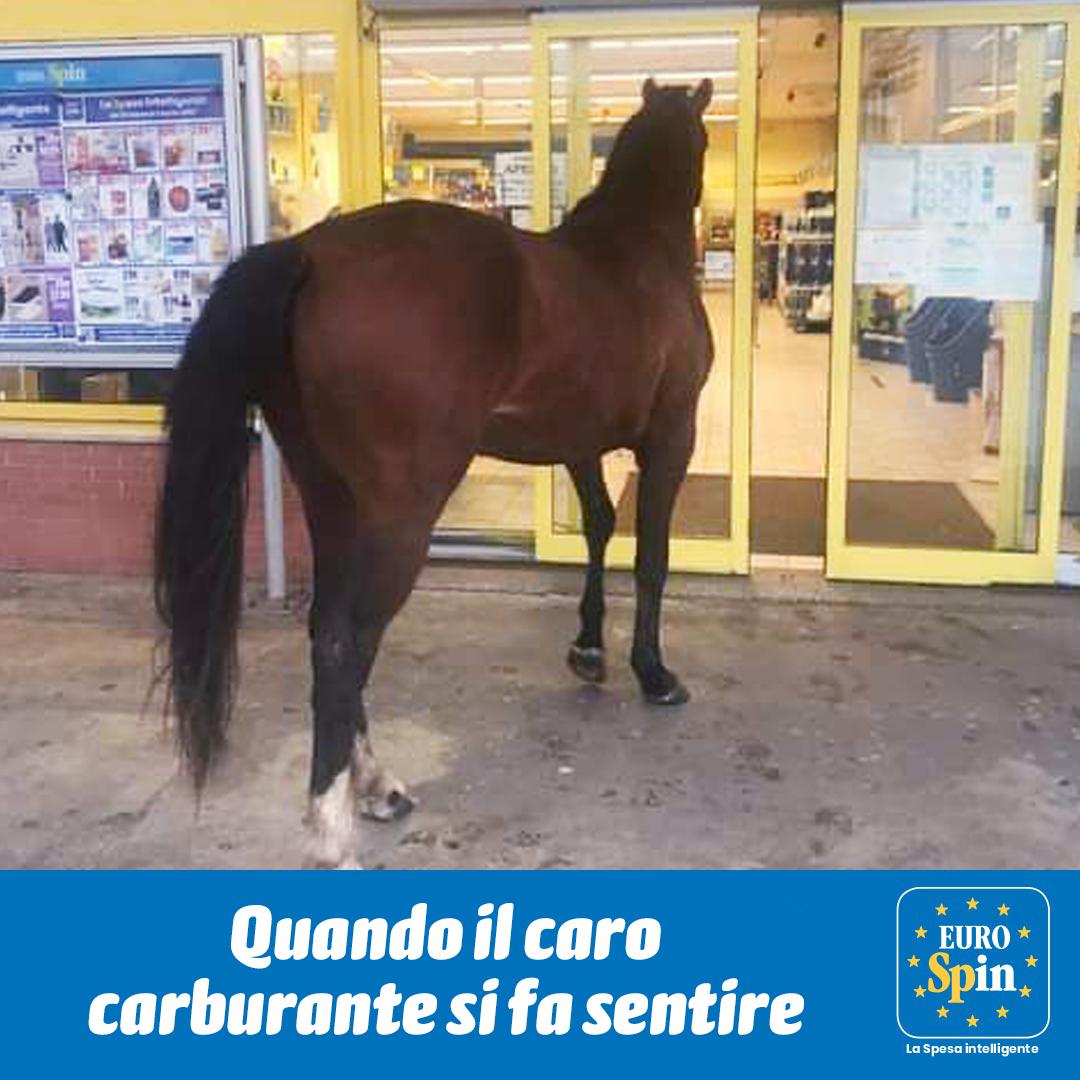 Il cavallo nel supermercato di Ittiri? Eurospin trasforma l'episodio in uno "spot" nazionale 