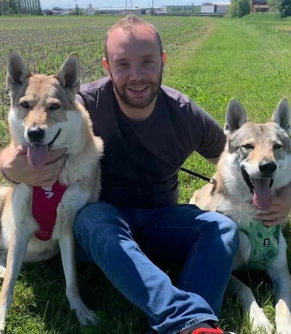 Formigine. Caso polpette avvelenate   «Cani in pericolo, ma il Comune non se ne occupa» 