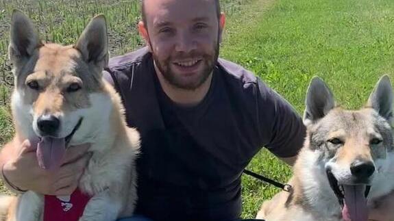 Formigine. Caso polpette avvelenate   «Cani in pericolo, ma il Comune non se ne occupa»