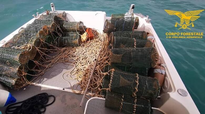 Oristano, sequestrate 60 nasse davanti a capo San Marco