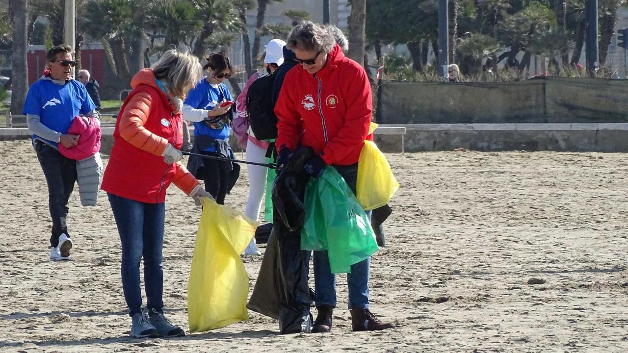 Viareggio, quattro quintali di rifiuti raccolti sulla spiaggia da piazza Mazzini al Molo