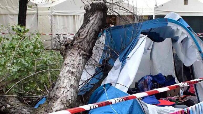 Il pioppo caduto sulla tenda in cui dormivano le due sorelline