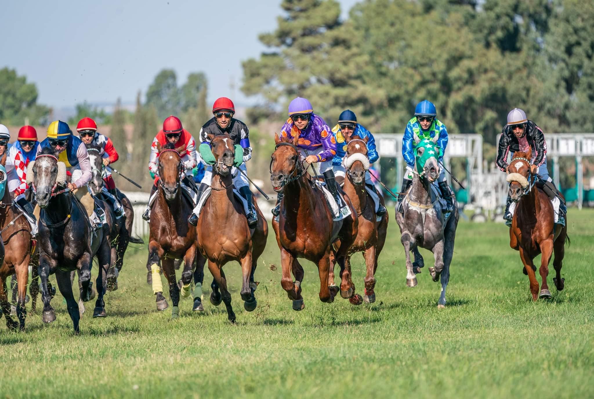 Il galoppo sardo non passa in cavalleria