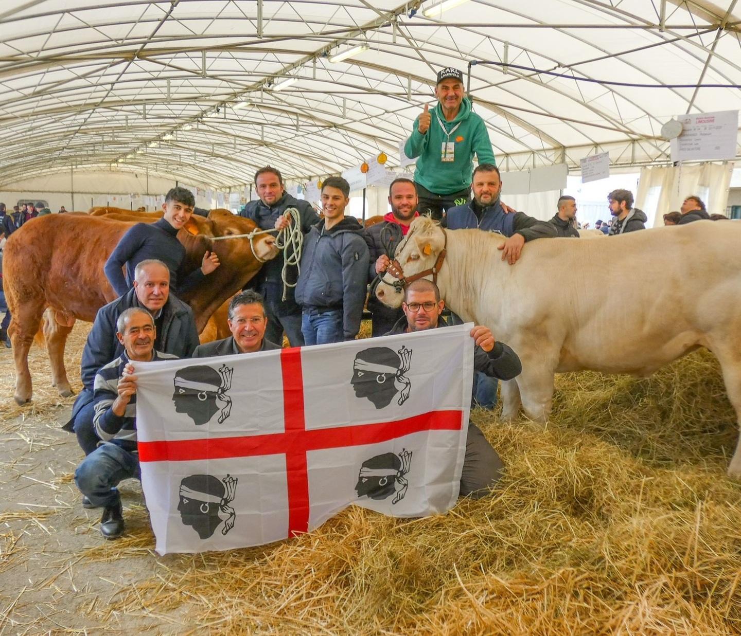 Charolaise e Limousine sardi fanno incetta di premi