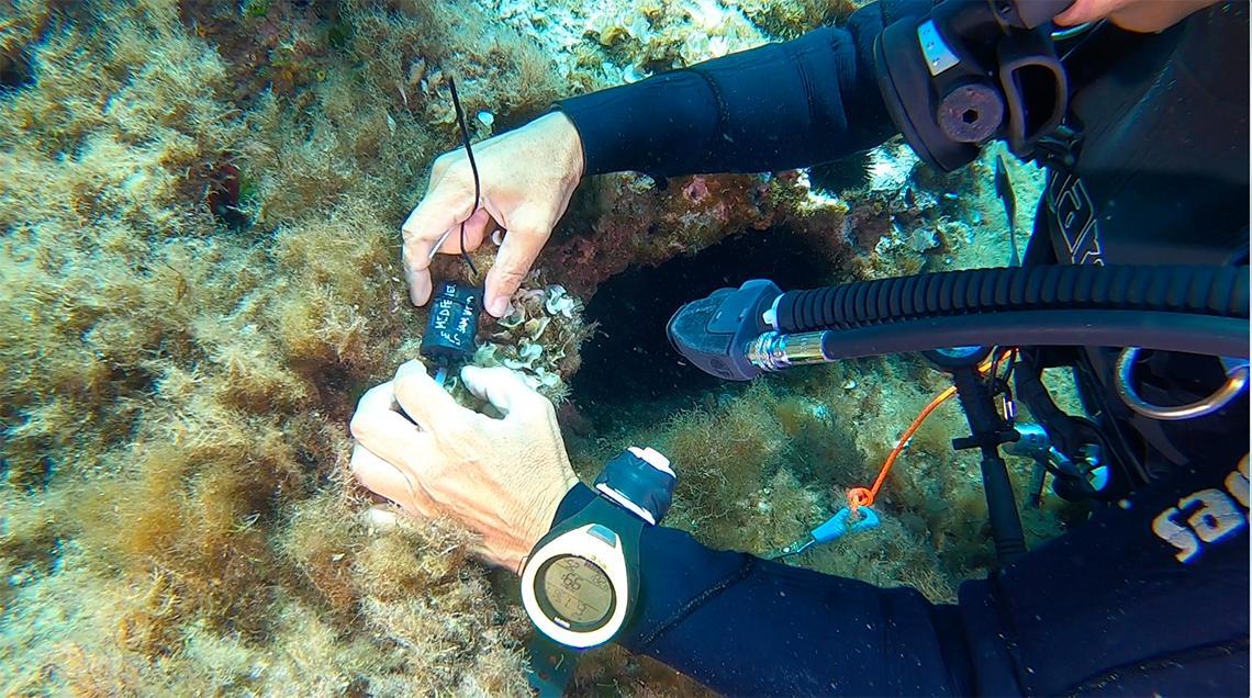 Clima: 67 termometri nel Tirreno per monitorare la "febbre" del mare