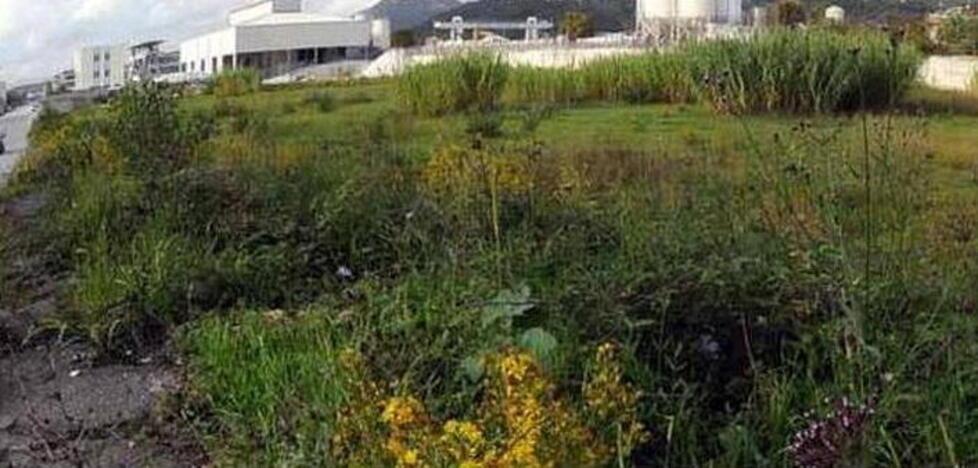Bonifiche, doppio evento; a grandi passi verso l’avvio delle gare d’appalto 