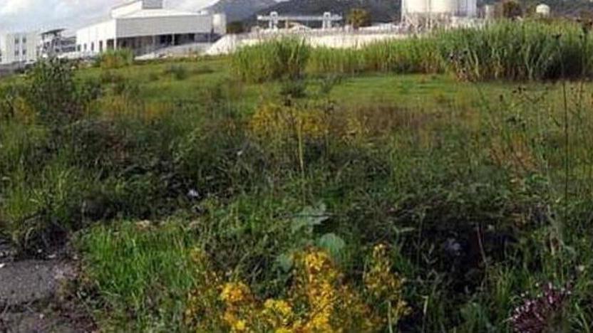 Bonifiche, doppio evento; a grandi passi verso l’avvio delle gare d’appalto