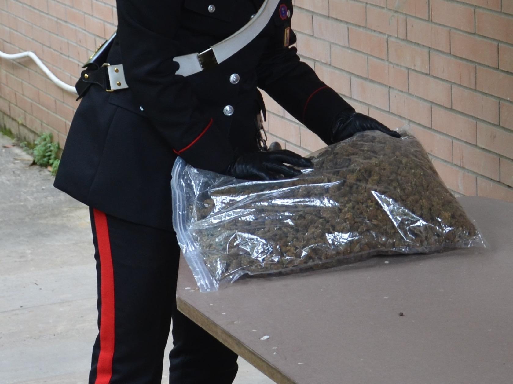 Sette quintali di marjiuana in un capannone a Capoterra: 54enne arrestato 