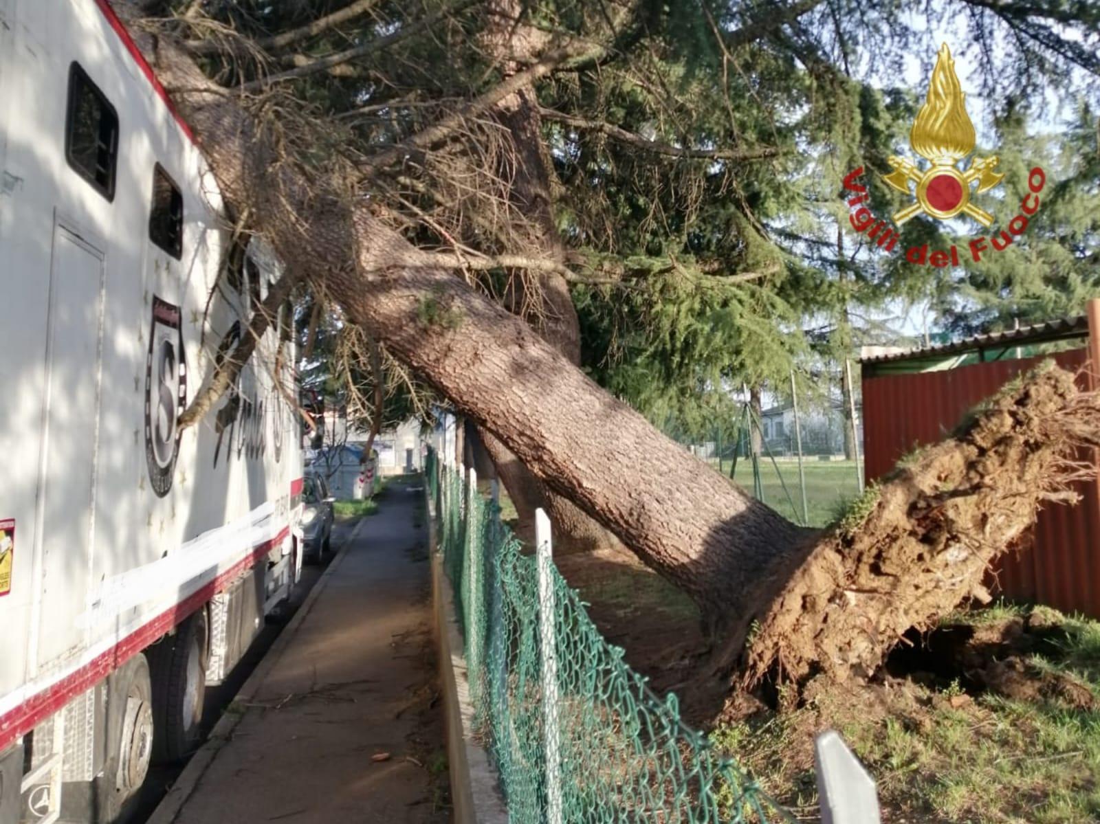 Forte vento su tutta la provincia di Reggio Emilia, oltre sessanta richieste di intervento ai vigili del fuoco 