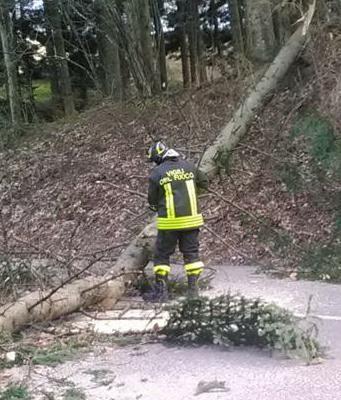 Modena e provincia: vento forte, oltre 100 chiamate ai vigili del fuoco 