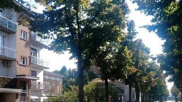 Carpi. Ciclabile di via Muratori Petizione da 130 firme