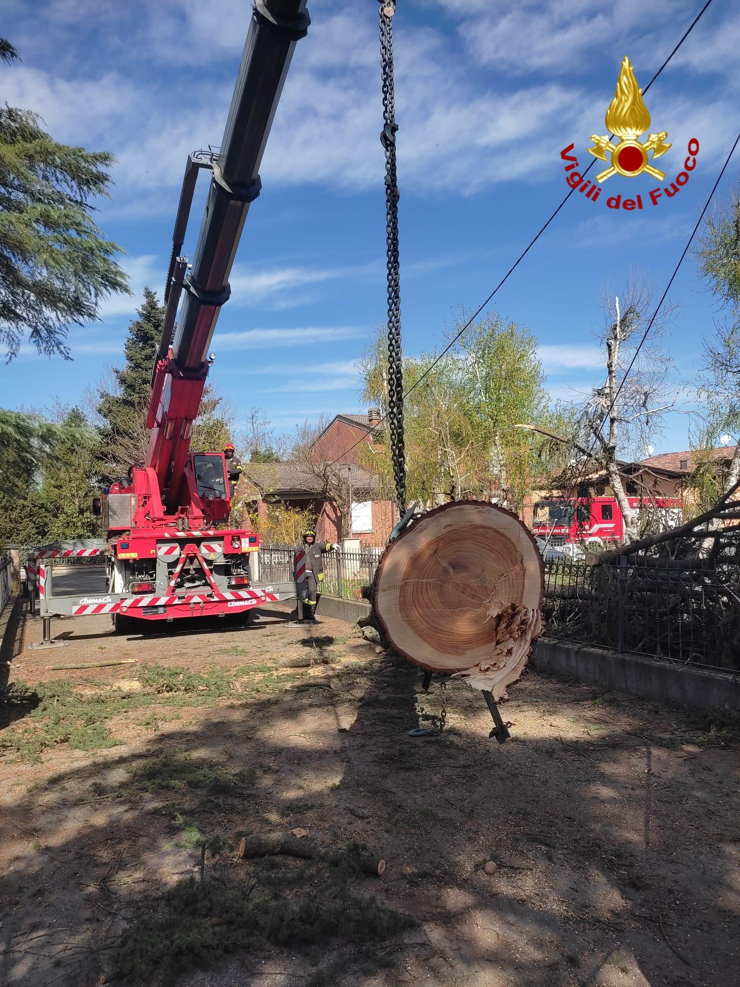 In tutta la provincia di Reggio Emilia alberi abbattuti su strade e case