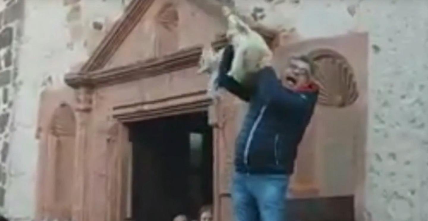 Agnellini all’asta, nei guai il banditore di Sedilo