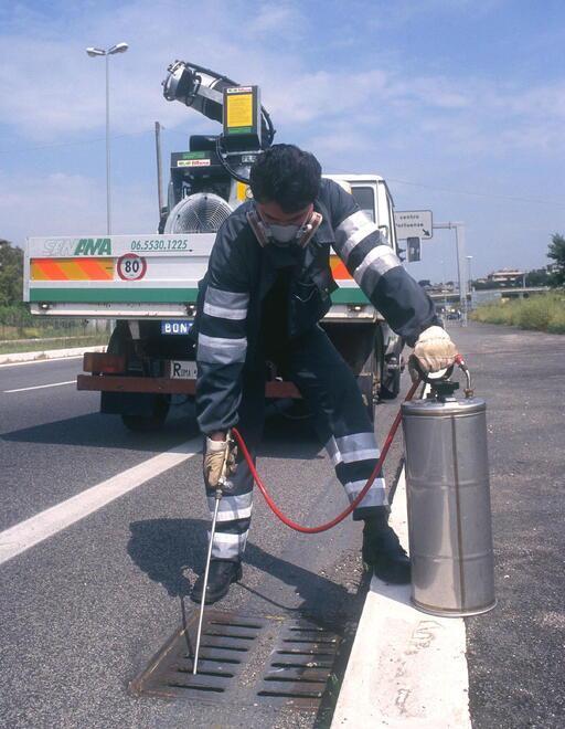 Carpi. A Gargallo si sperimenta il piano anti-zanzara tigre con i maschi sterilizzati 