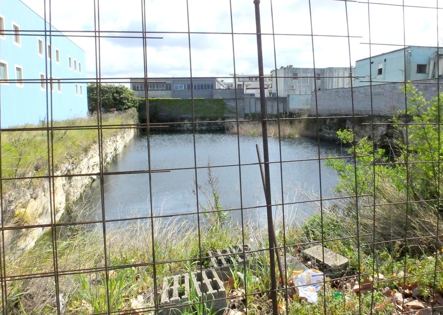 Sassari, le anatre che nuotano tra i capannoni di Predda Niedda