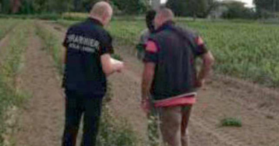 Portomaggiore, il sindaco Bernardi: «Spezziamo le catene, stop al caporalato» 