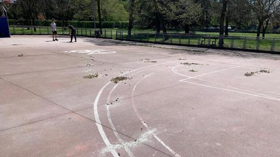 Reggio Emilia, un nuovo oltraggio ai danni del campetto del parco del Noce