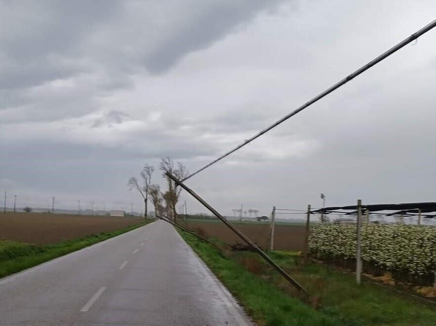 Il vento spazza la provincia e fa danni 