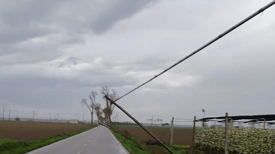 Il vento spazza la provincia e fa danni