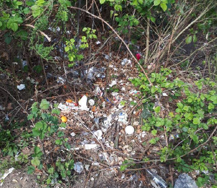 Un’immagine di inquinamento e abbandono scattate dagli attivisti di Italia Nostra
