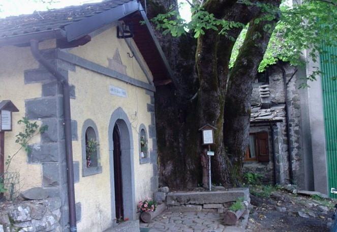 Check In / Alla scoperta del "gigante" di casa Mordini