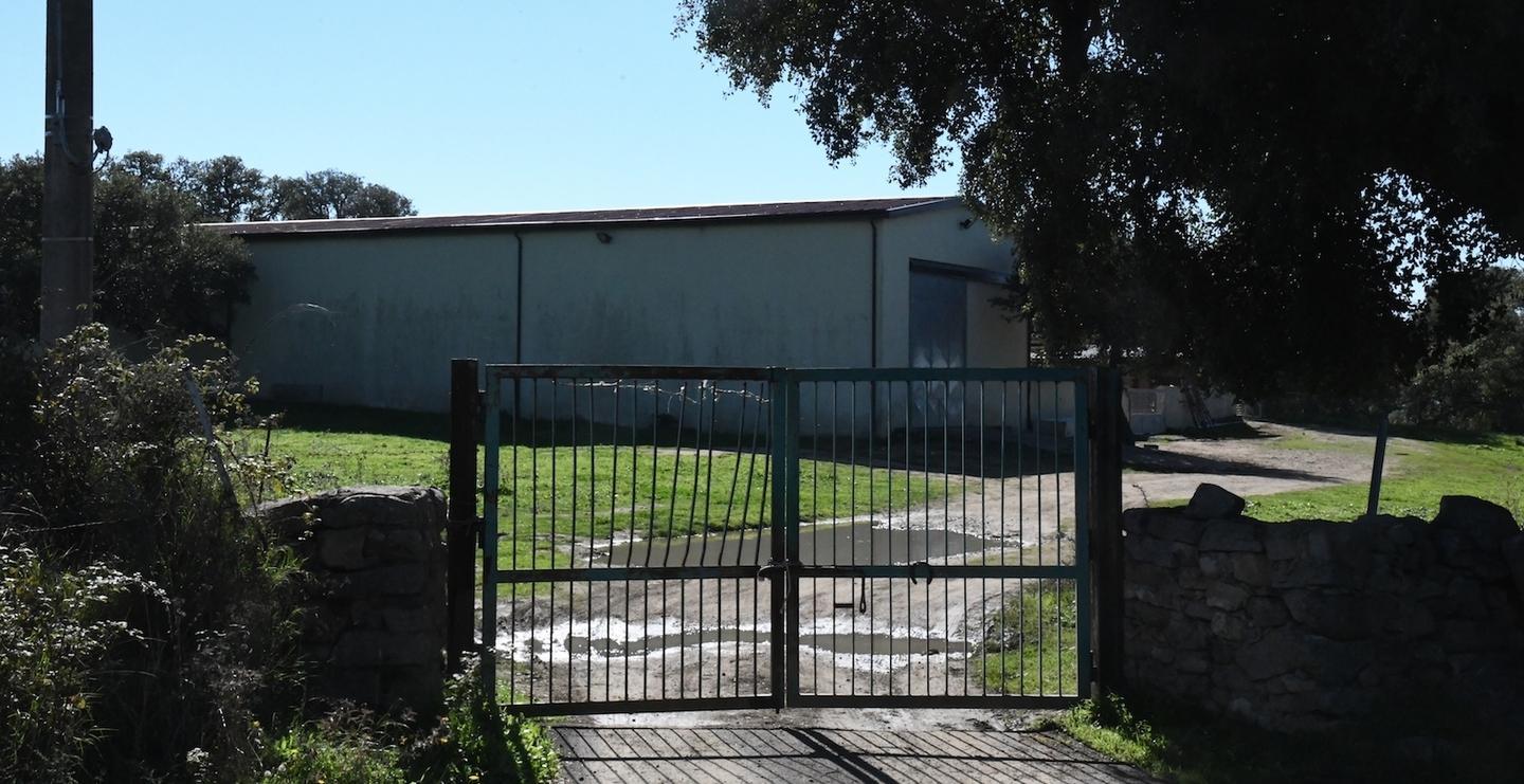 Orotelli, ucciso a sprangate: nipote a giudizio 