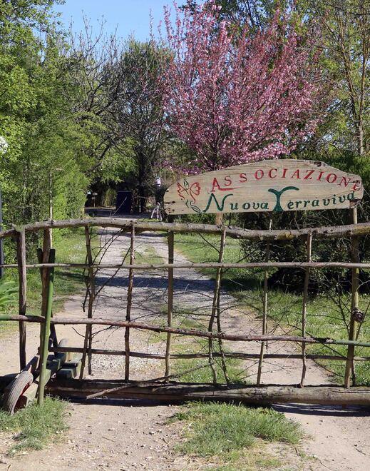 Ferrara, gestione via delle Erbe. Il Difensore civico ora «approfondisce» 