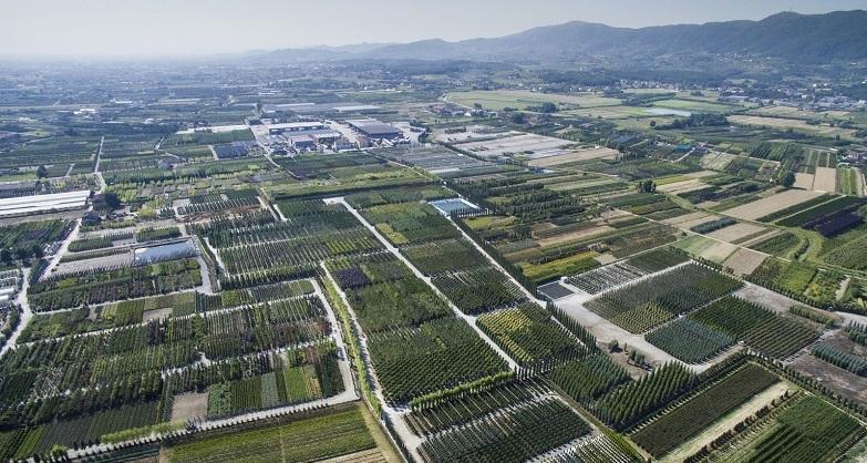 Panoramica sui vivai della piana pistoiese