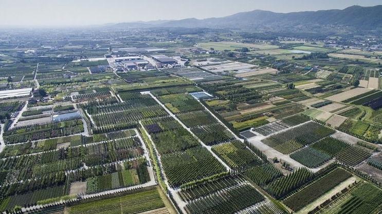 Panoramica sui vivai della piana pistoiese