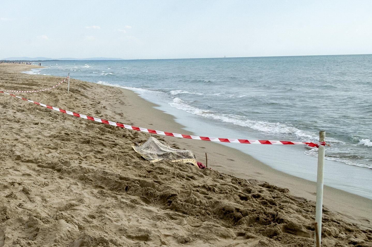 Viareggio, allarme in Darsena: «C’è un cadavere sulla spiaggia». Ma è la carcassa di un cervo 