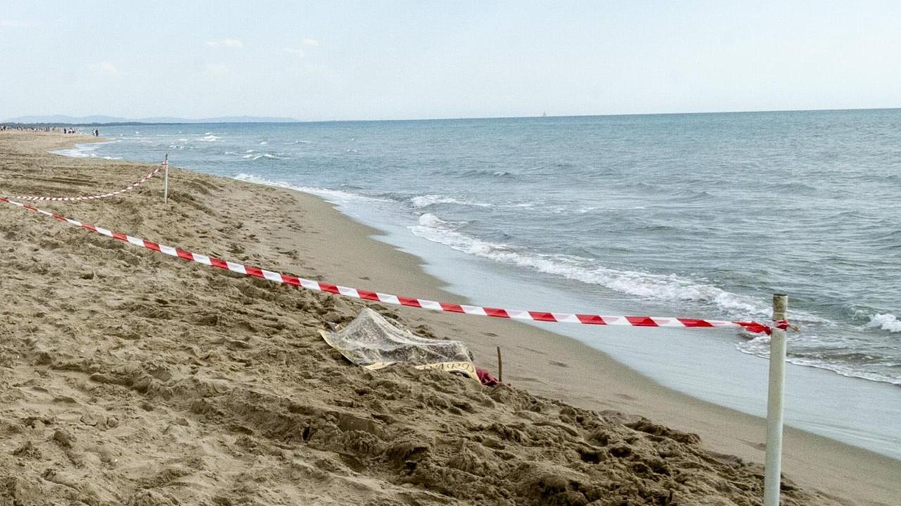 Viareggio, allarme in Darsena: «C’è un cadavere sulla spiaggia». Ma è la carcassa di un cervo