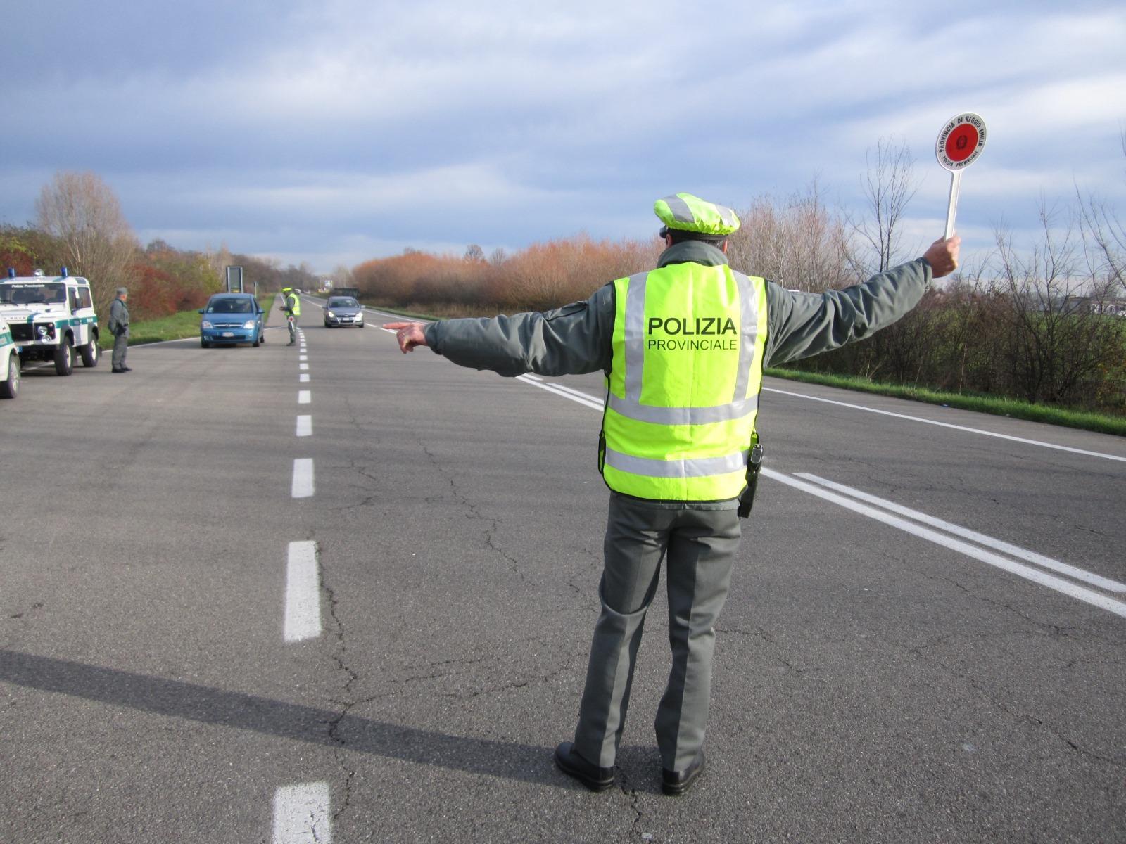Reggio Emilia, un incidente al giorno è stato provocato dagli animali selvatici 