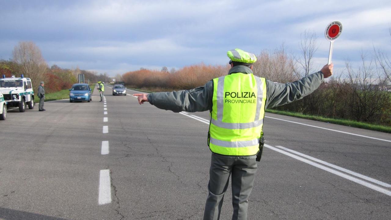 Reggio Emilia, un incidente al giorno è stato provocato dagli animali selvatici