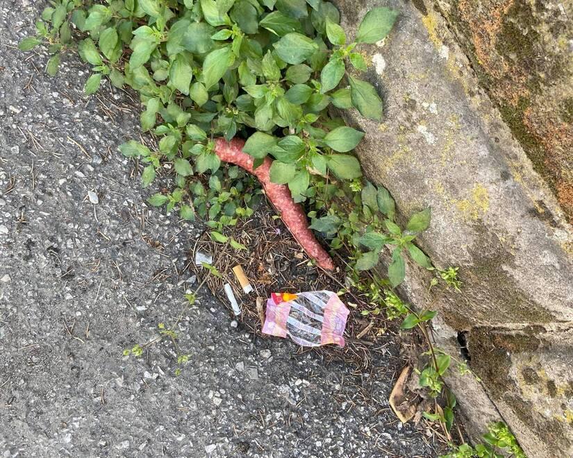 Salsicce sospette in via Volta a Cento, pericolo per gli animali