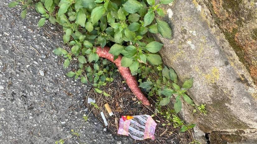 Salsicce sospette in via Volta a Cento, pericolo per gli animali