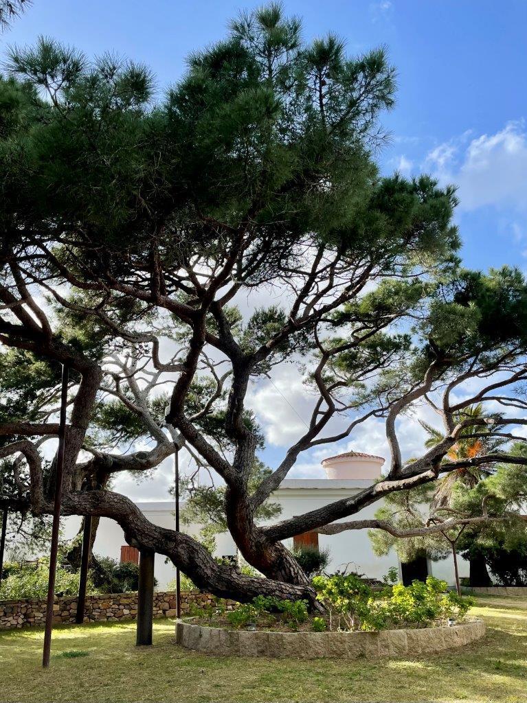 Apertura straordinaria per il Compendio Garibaldino a Caprera