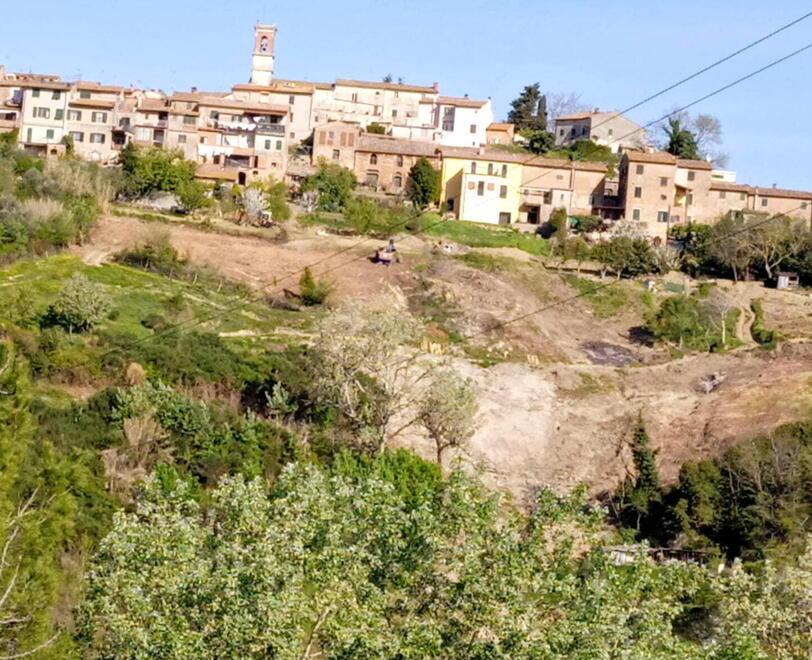 Lavori da 328mila euro sulla collina devastata 10 anni fa dall’incendio 