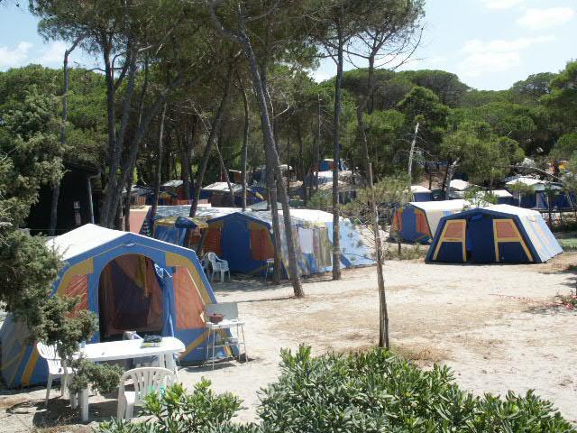 Caro traghetti: "Una notte in nave costa come 7 giorni in campeggio" 