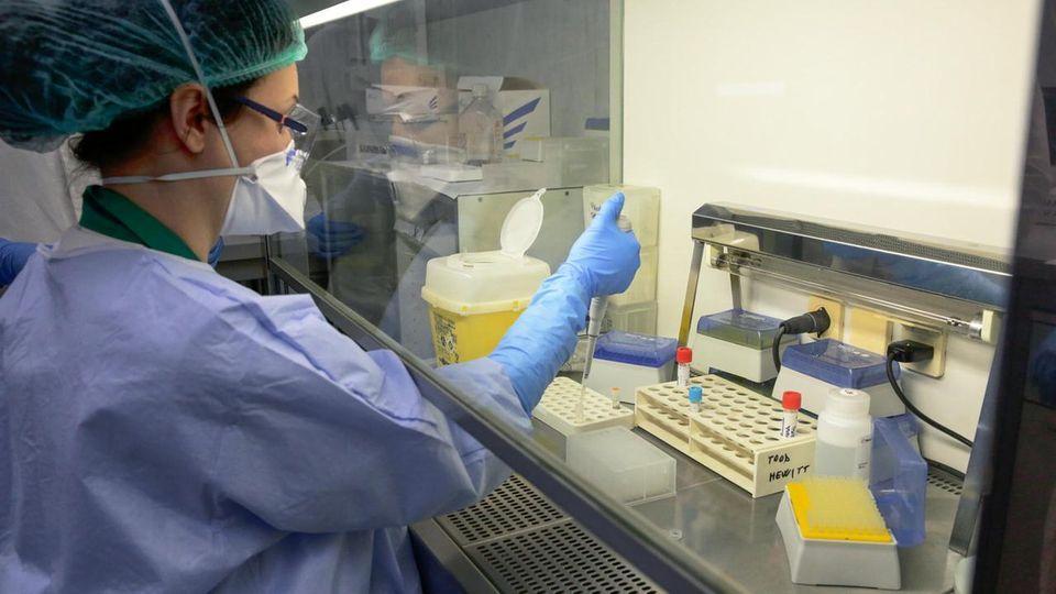 Coronavirus, 269 contagiati e 148 guariti nel Ferrarese