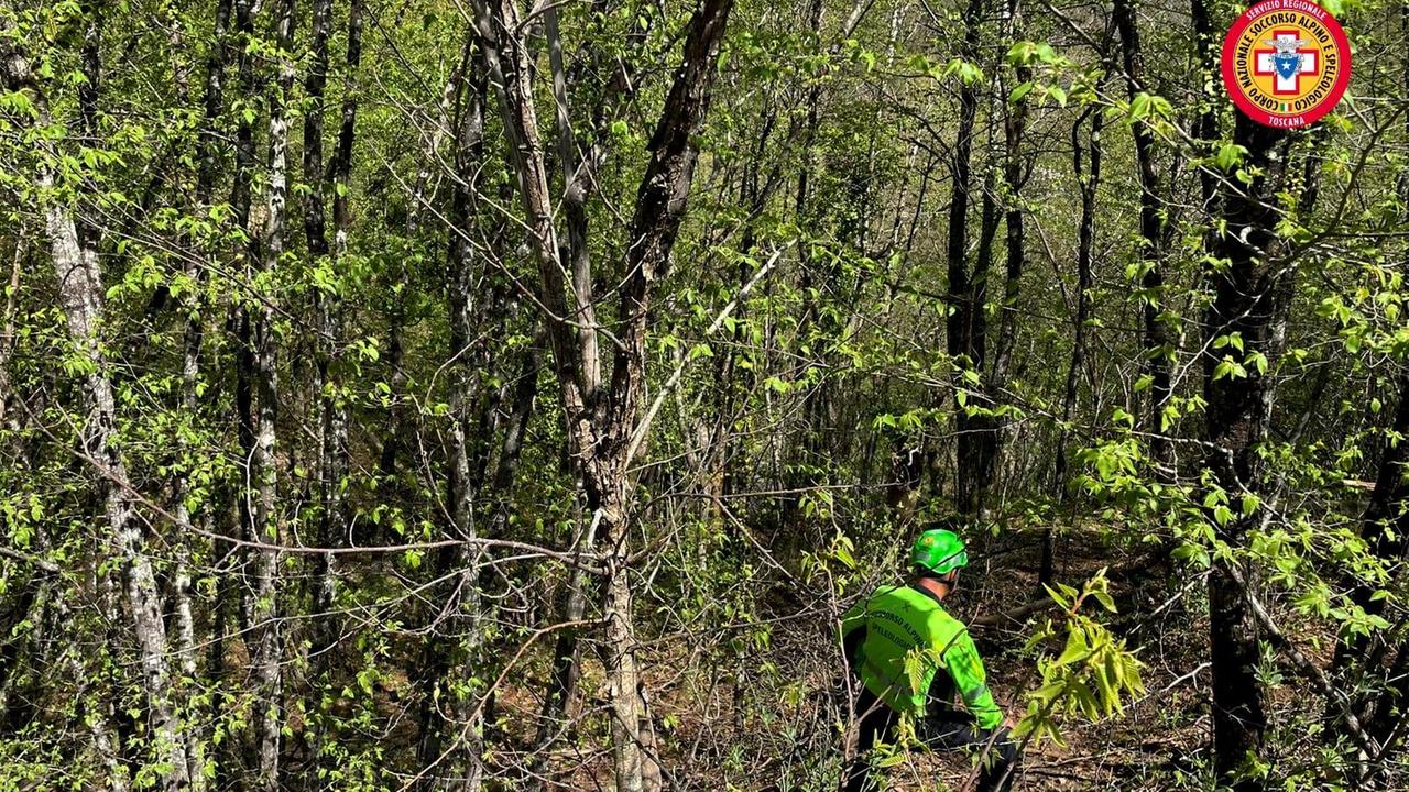 I soccorsi nel bosco