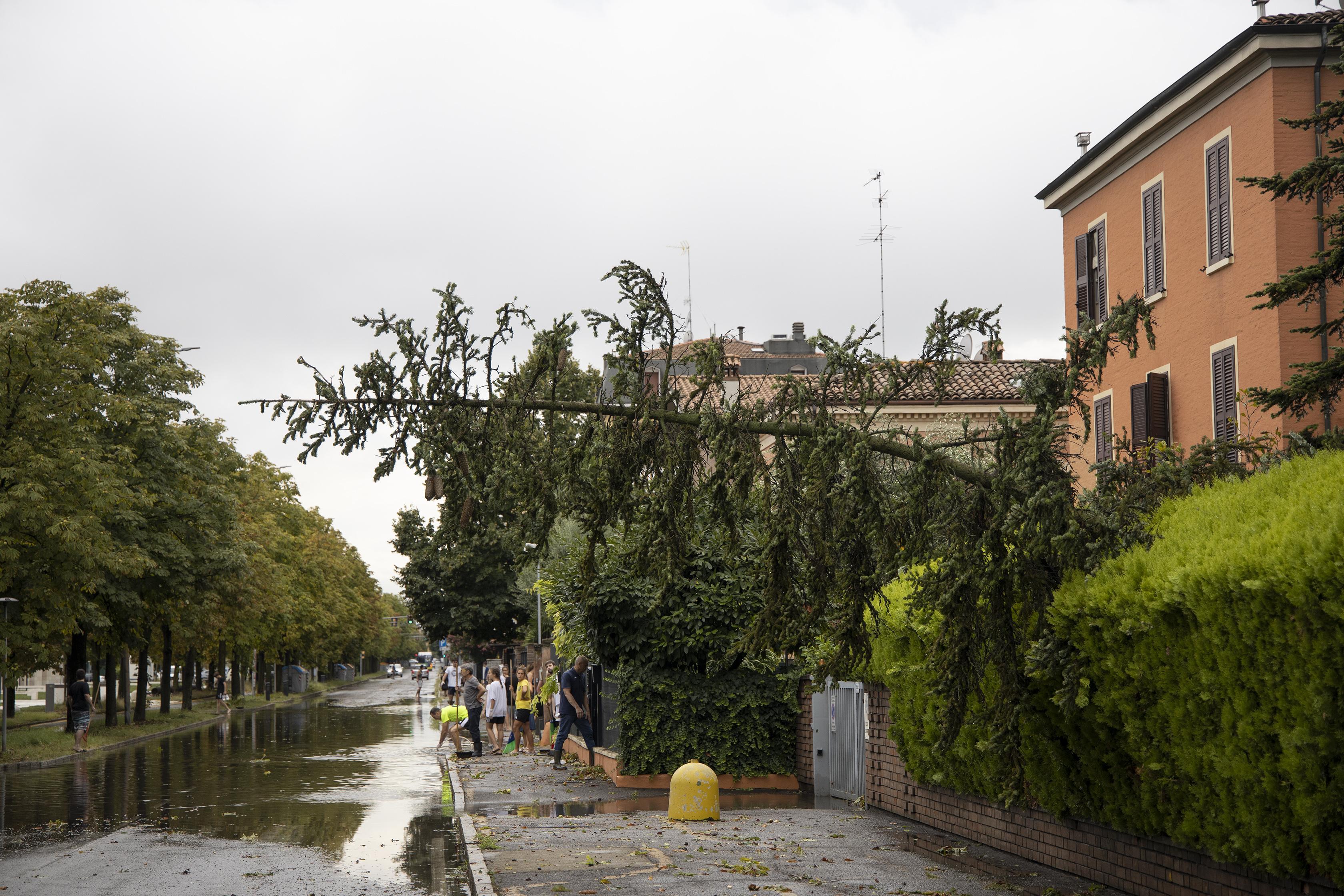 Il maltempo sta per arrivare in Toscana: attese raffiche di vento e temporali (Foto di repertorio)