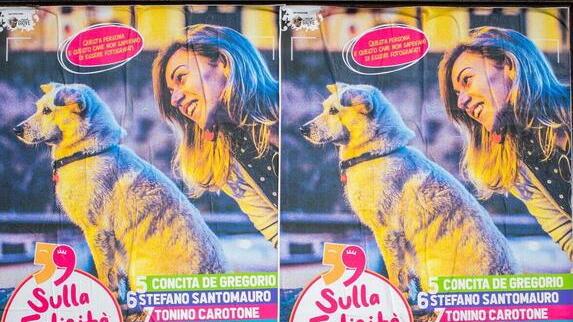 Scatti di felicità: livornesi protagonisti tra sorrisi e foto - LE IMMAGINI